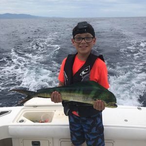 Meet your Posher, Nina